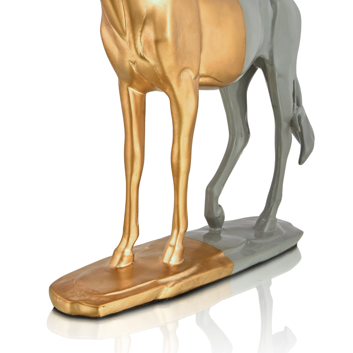 Cavallo Horse